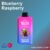 Blueberry Raspberry