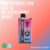 Watermelon lce & Blueberry Mint