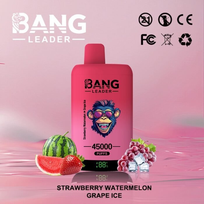 Bang Leader 45000 Puffs - Image 7