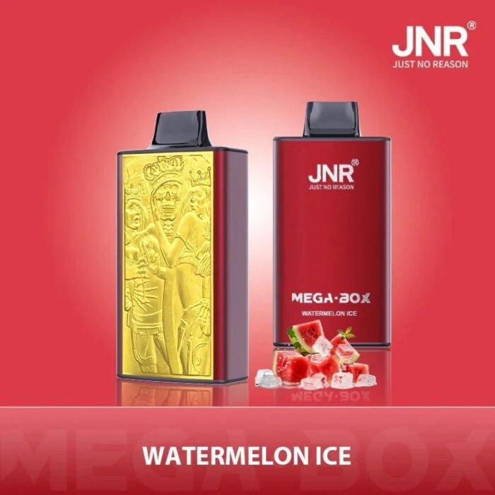 JNR Mega Box 25000 Puffs - Image 6