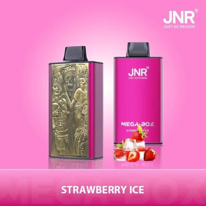 JNR Mega Box 25000 Puffs - Image 4