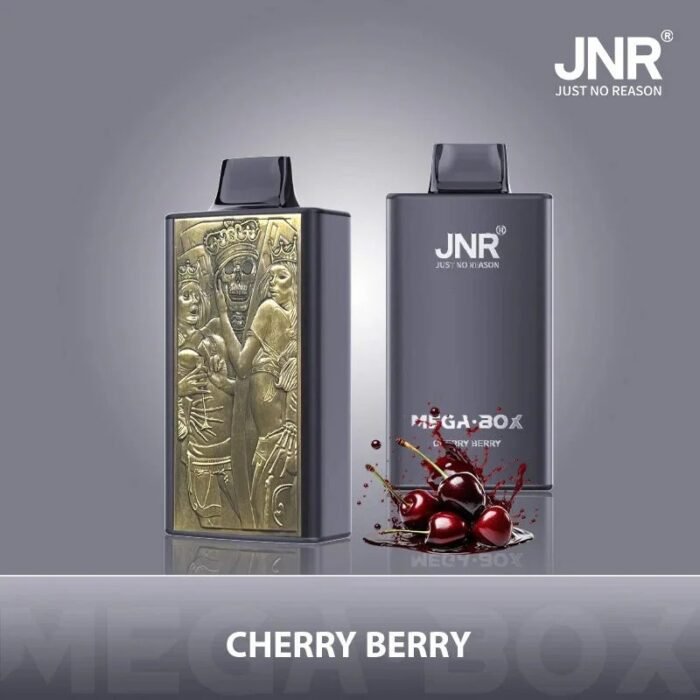 JNR Mega Box 25000 Puffs - Image 2