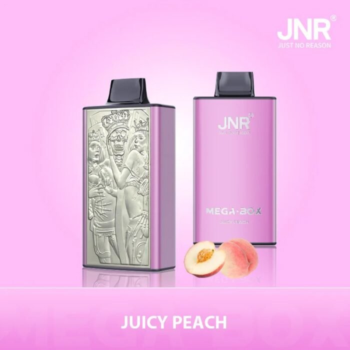 JNR Mega Box 25000 Puffs - Image 5